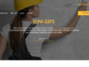 Joni Gips